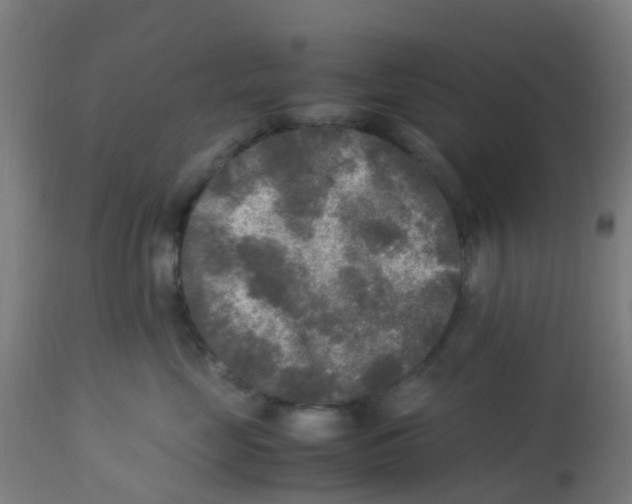X0000113220669200910081342