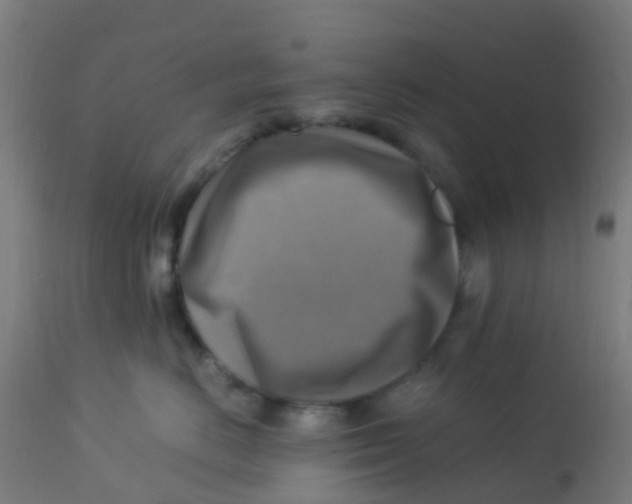 X0000113220670200910081342