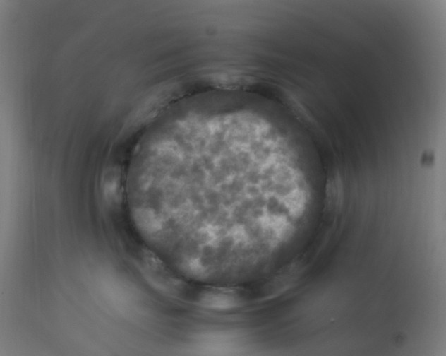 X0000113220671200910081342