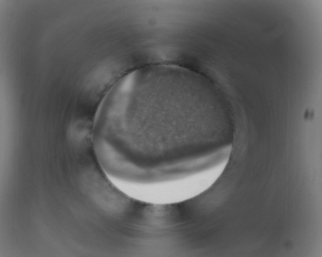 X0000113220672200910081342