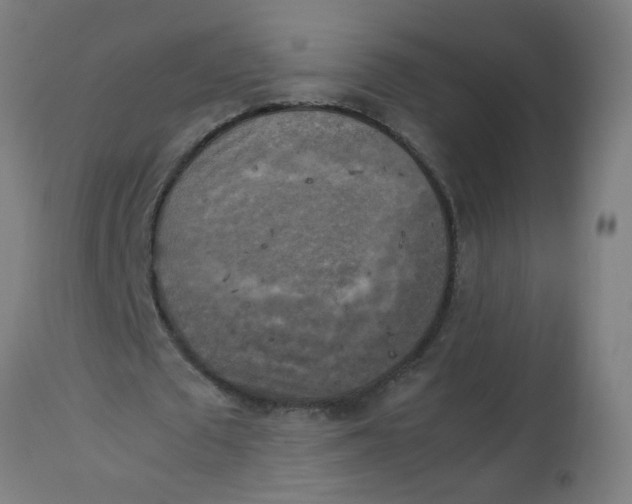 X0000113220673200910081342