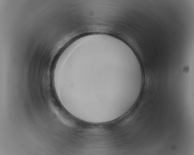 X0000113220674200910081342