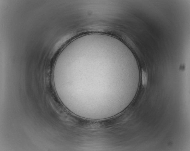 X0000113220675200910081342