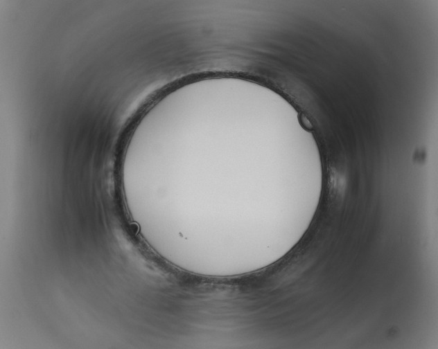 X0000113220676200910081342