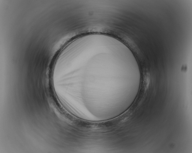 X0000113220678200910081342