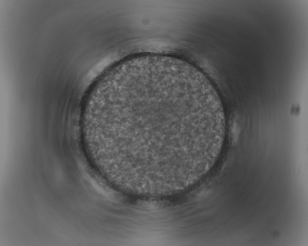 X0000113220679200910081342