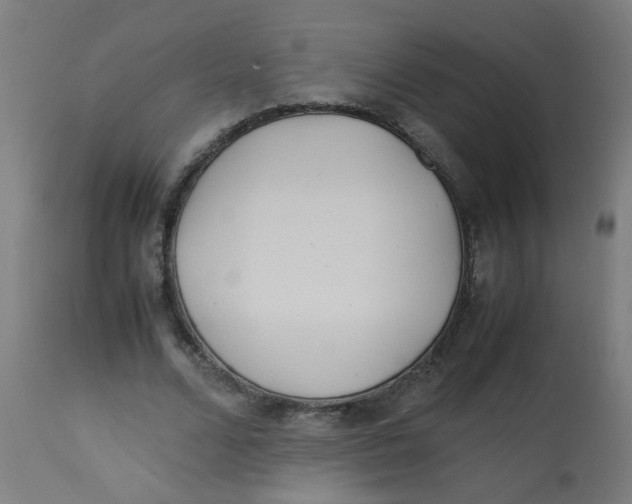 X0000113220680200910081342