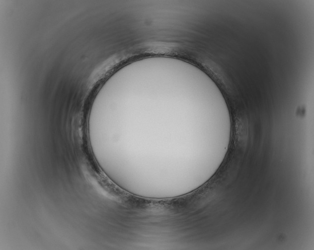 X0000113220682200910081342