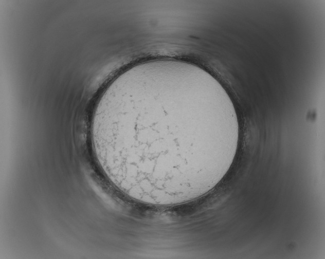 X0000113220683200910081342