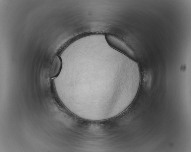 X0000113220684200910081342