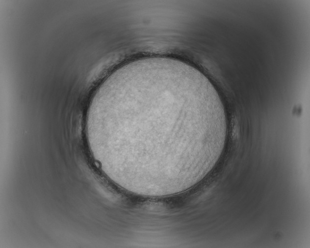 X0000113220685200910081342