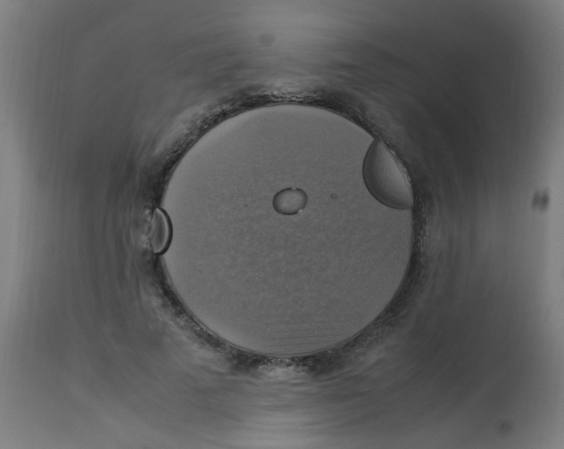 X0000113220689200910081342