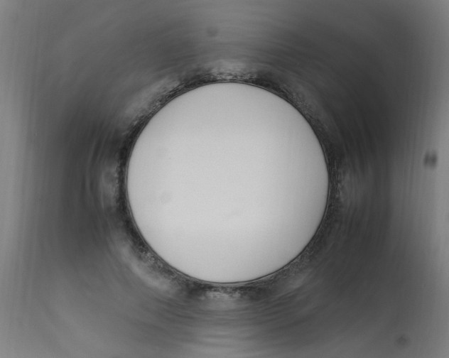 X0000113220690200910081341