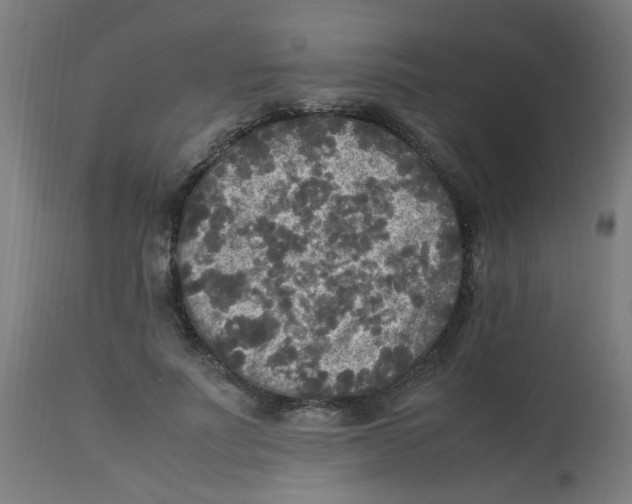 X0000113220691200910081341