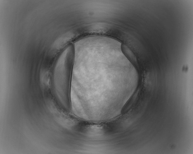 X0000113220692200910081341