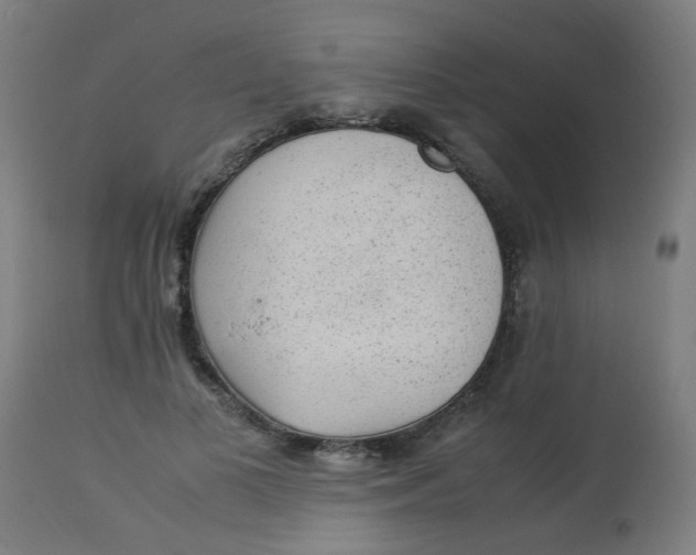 X0000113220693200910081341