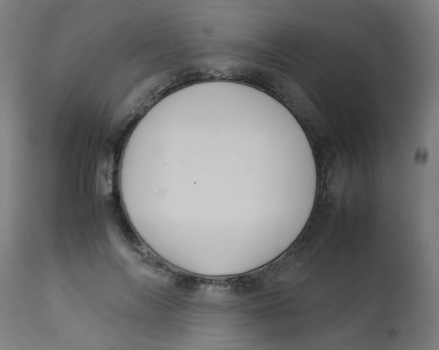 X0000113220694200910081341