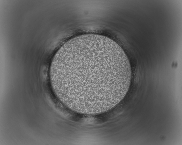X0000113220695200910081341