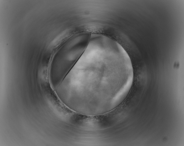 X0000113220696200910081341