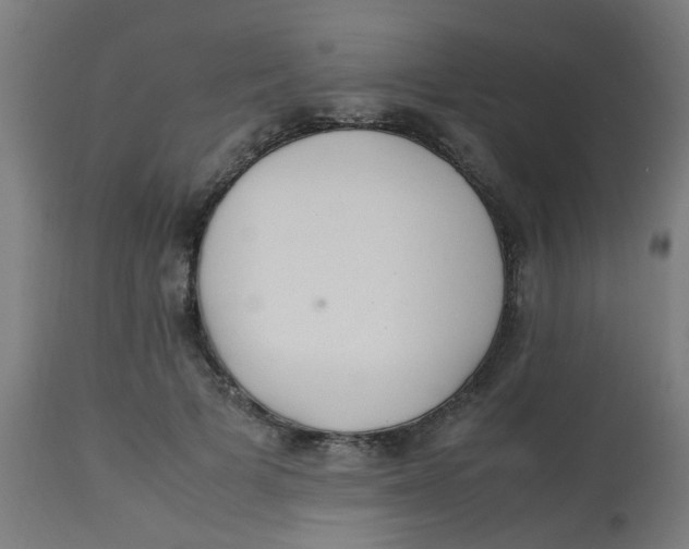 X0000113220697200910081341