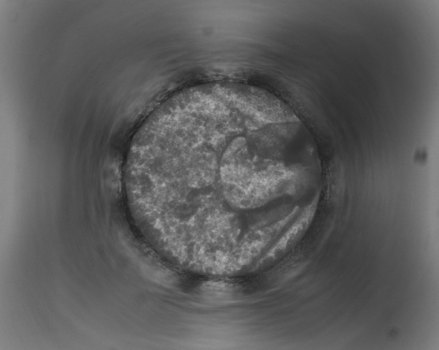 X0000113220699200910081341