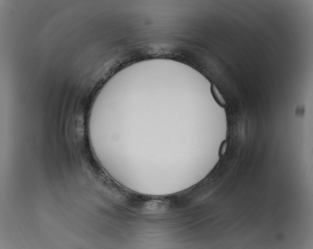 X0000113220700200910081341