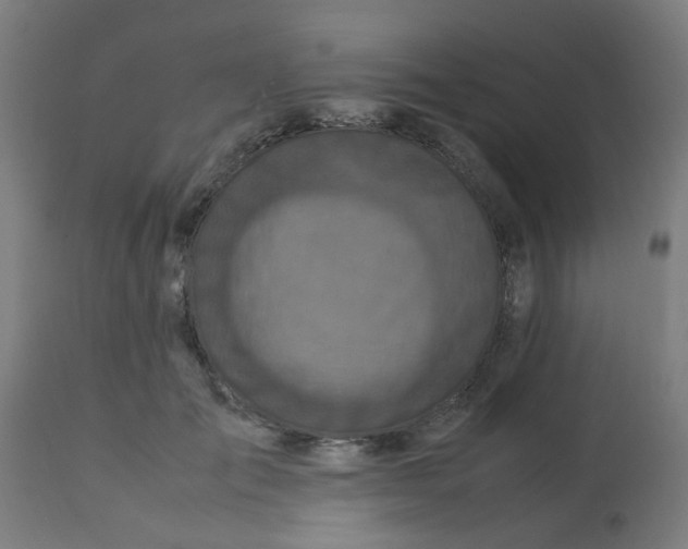 X0000113220701200910081341