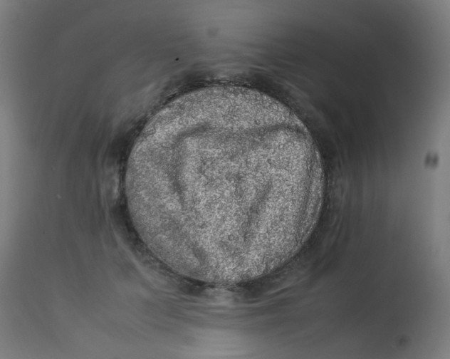 X0000113220703200910081341