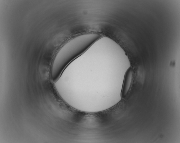 X0000113220704200910081341