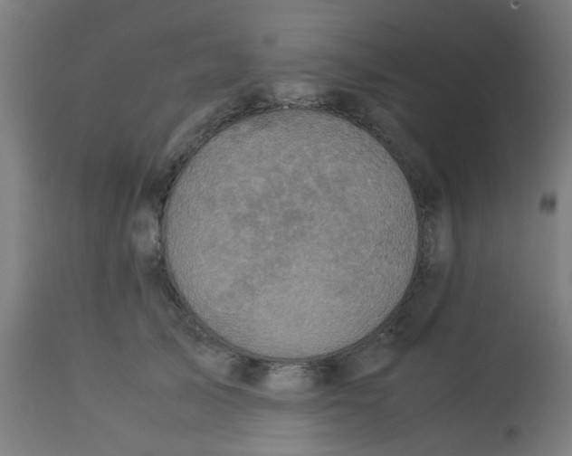 X0000113220705200910081341