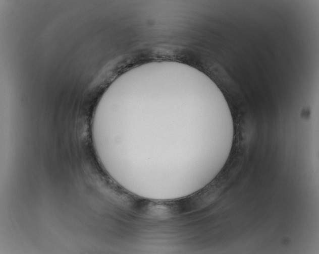 X0000113220706200910081341