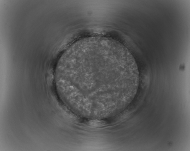 X0000113220707200910081341
