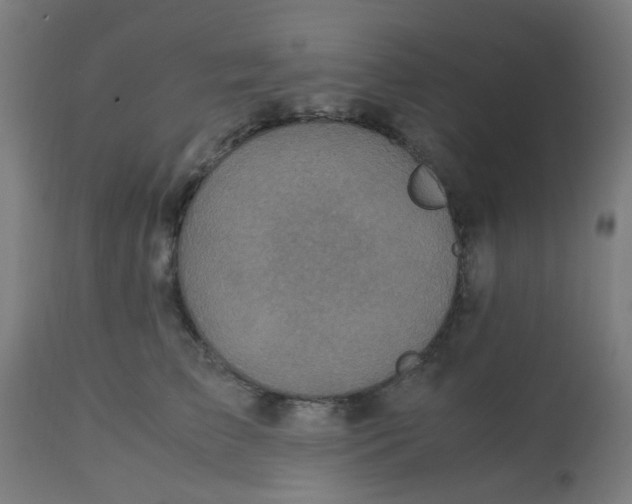 X0000113220709200910081341