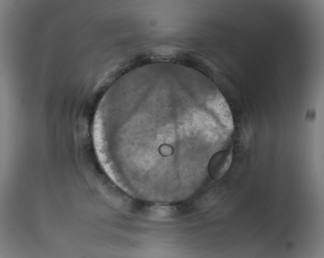 X0000113220711200910081341