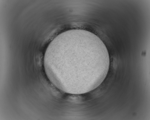 X0000113220712200910081341