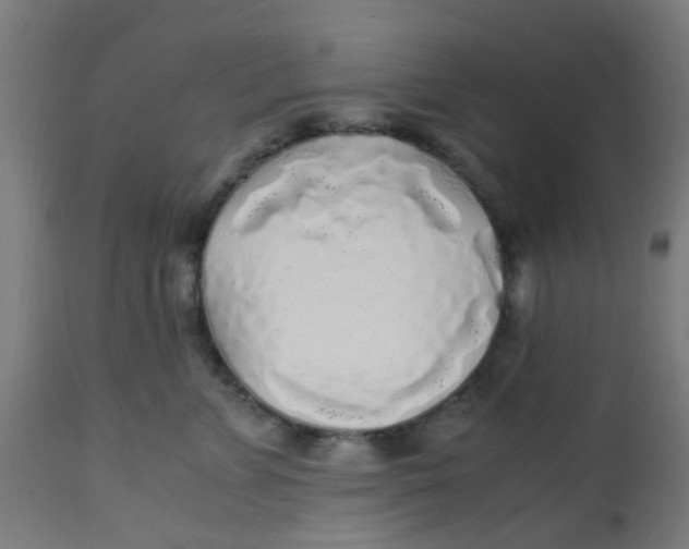 X0000113220715200910081341