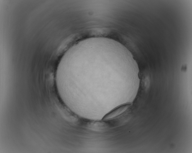 X0000113220716200910081341