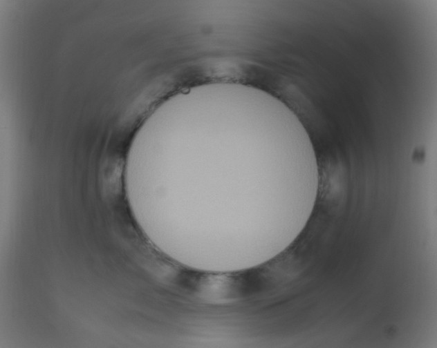 X0000113220717200910081341