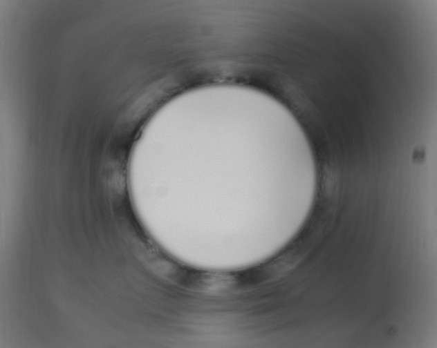 X0000113220719200910081341