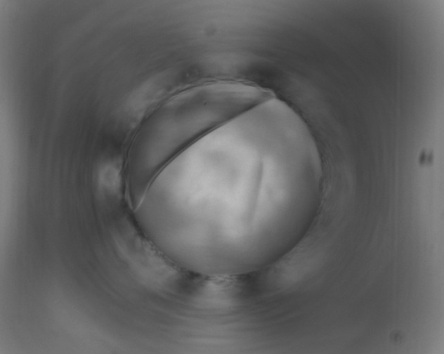 X0000113220720200910081341