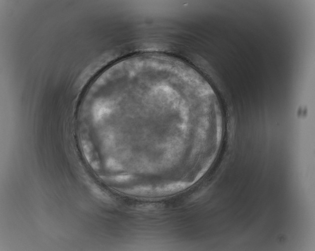 X0000113220721200910081340