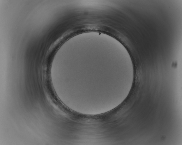 X0000113220722200910081340