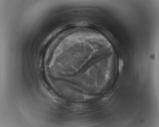 X0000113220723200910081340