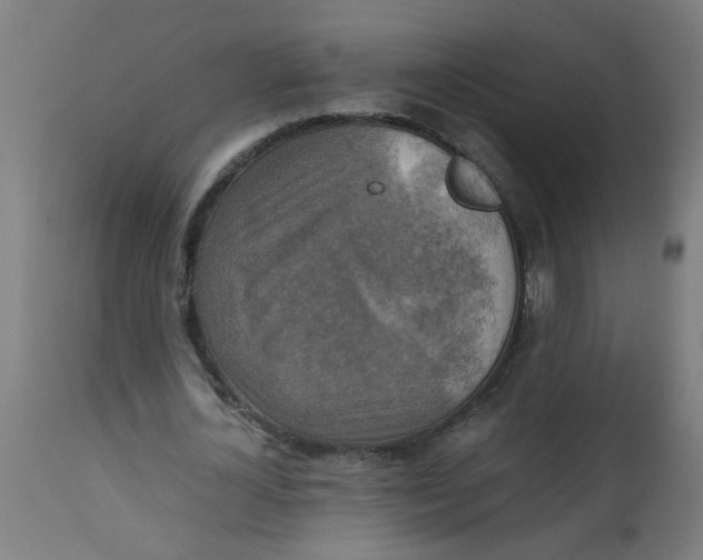 X0000113220724200910081340