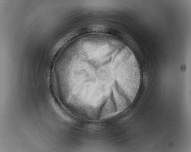 X0000113220725200910081340