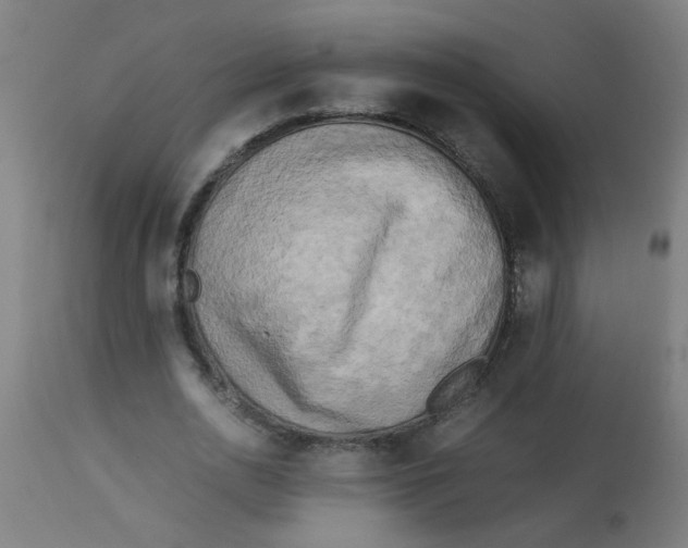 X0000113220726200910081340