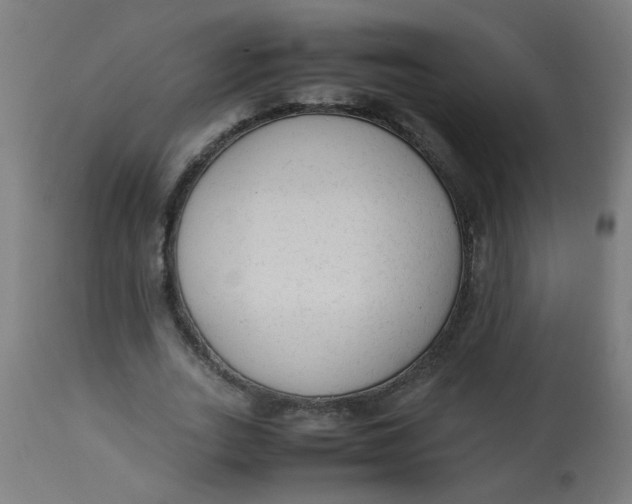 X0000113220727200910081341