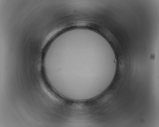 X0000113220728200910081341