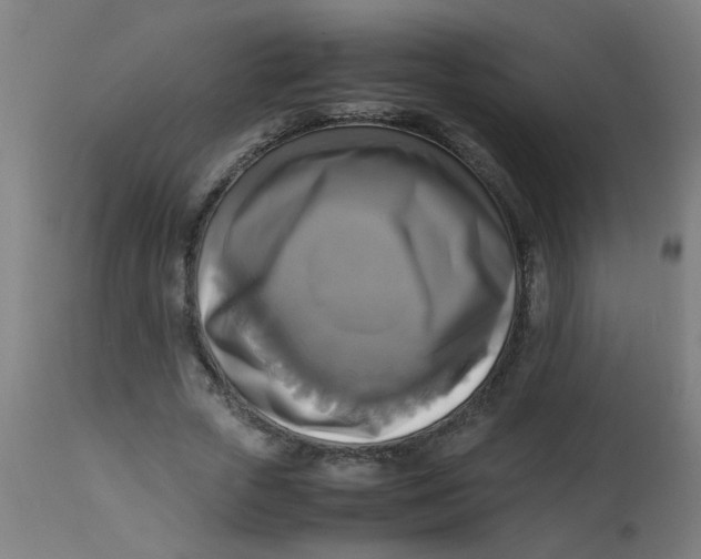 X0000113220729200910081341