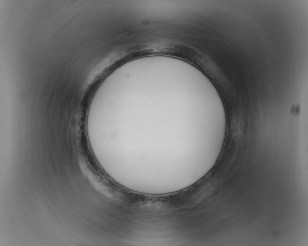 X0000113220730200910081341